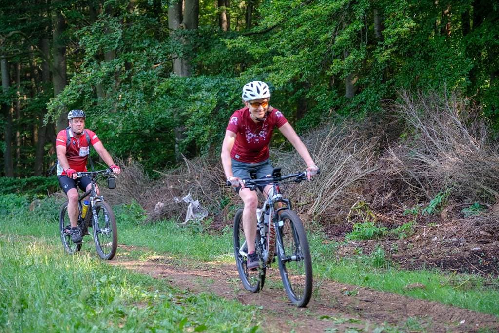 Mountain bike