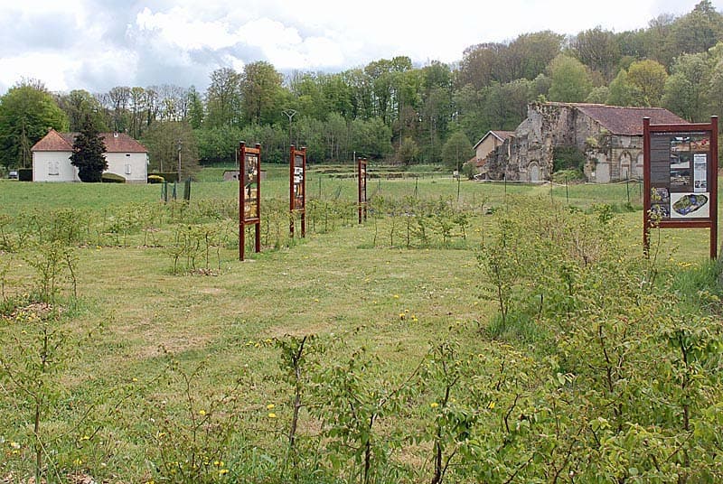 Abbaye de Morimond