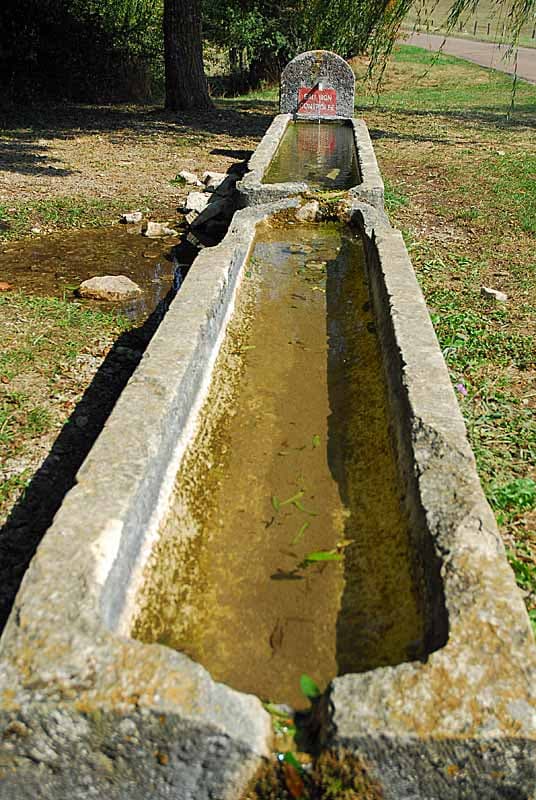 Auges d'eau vives à Poinsenot