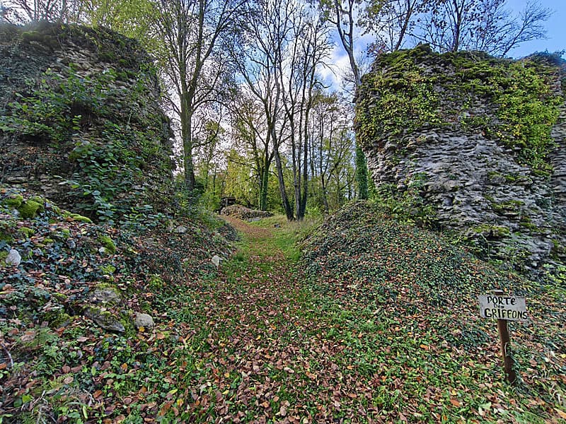 Chateau de Lafauche - porte des Griffons