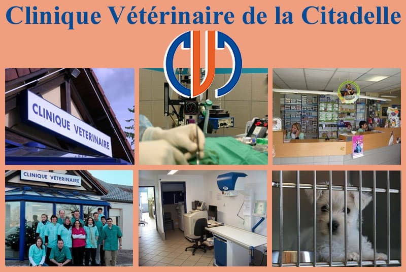 Clinique vétérinaire de la Citadelle