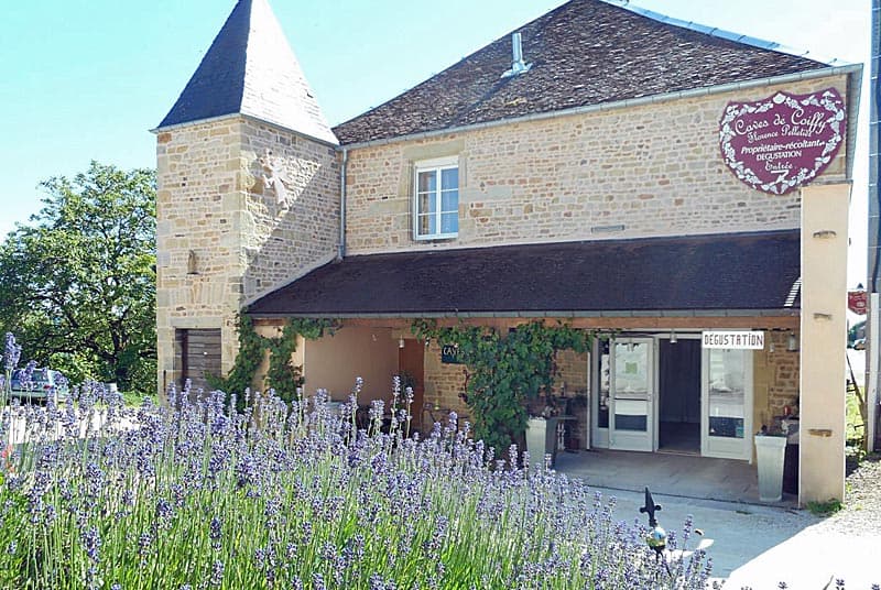 Domaine Florence Pelletier à Coiffy