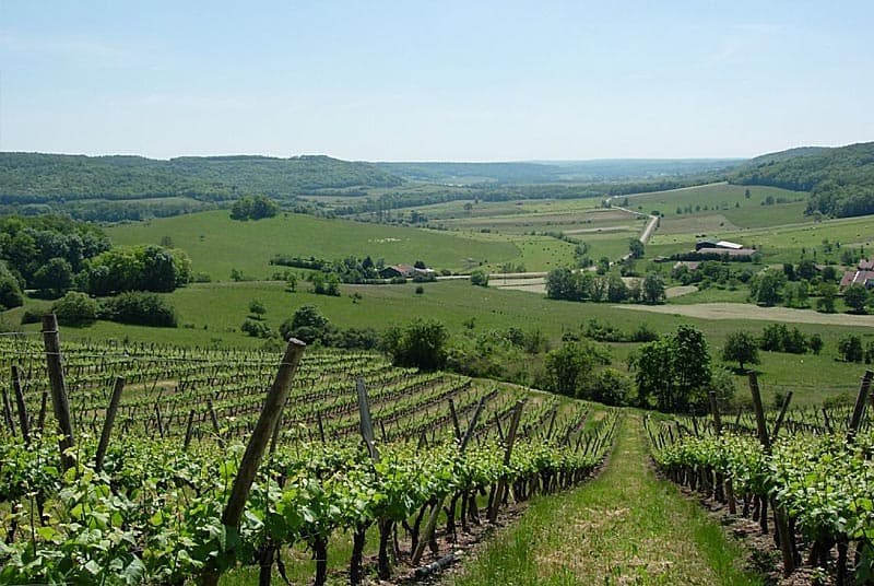 Domaine Florence Pelletier à Coiffy