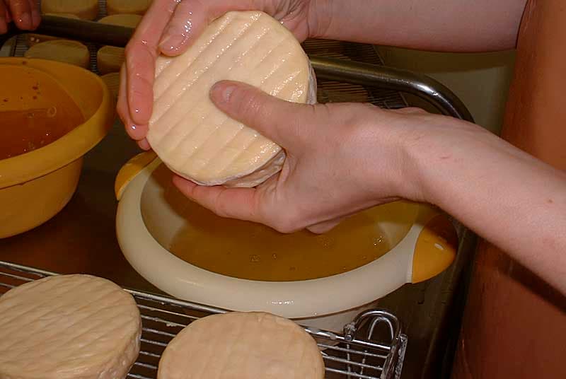 Epoisses