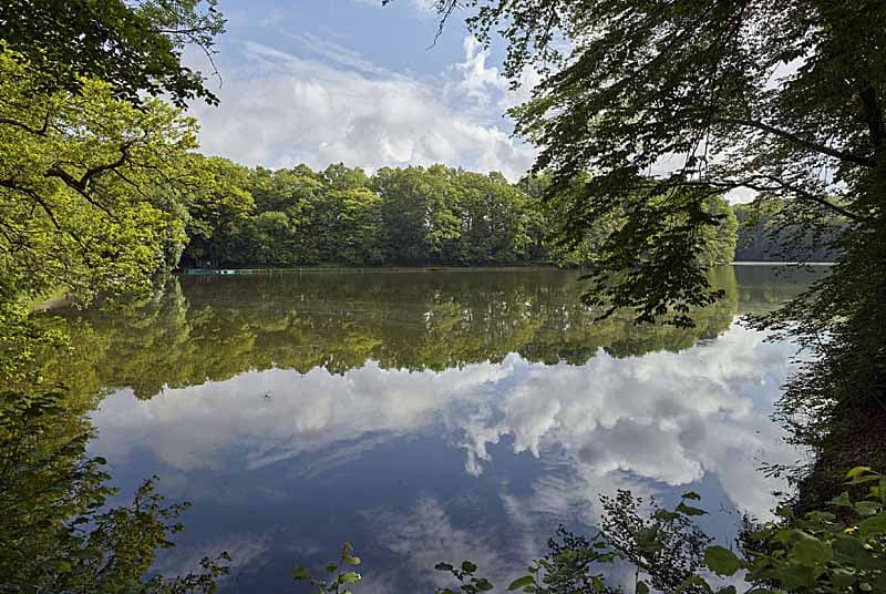 Etang de Morimond