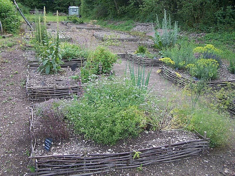 Jardin d'inspiration médiévale de Vignory