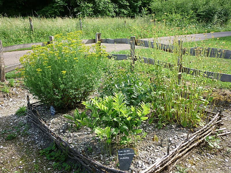 Jardin d'inspiration médiévale de Vignory