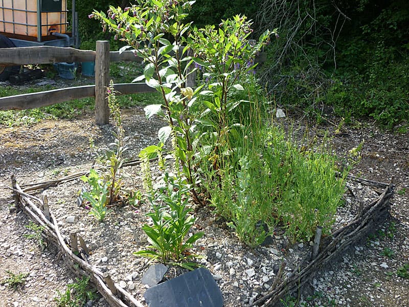 Jardin d'inspiration médiévale de Vignory