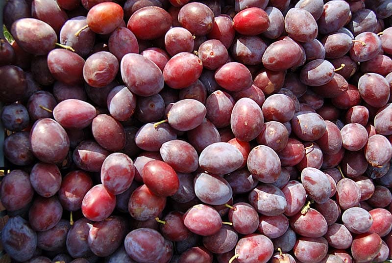Marché