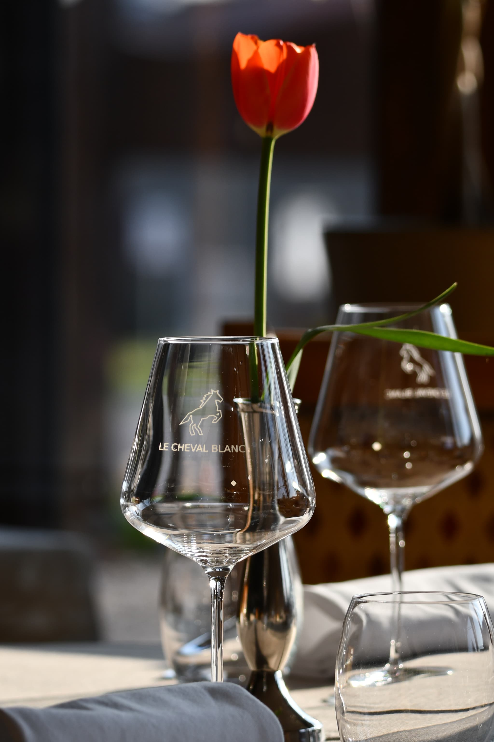Le Cheval Blanc - Giffaumont Champaubert