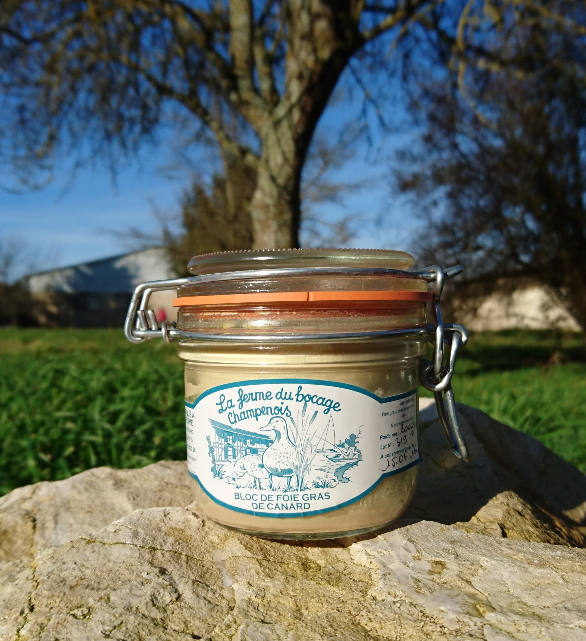 Foie gras Fermier