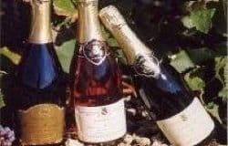 LE CHAMPAGNE HERVE HUDELET_1