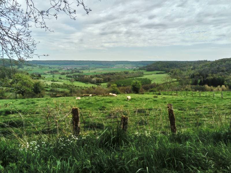 Jardin Natur'Ailes à Varennes-sur-Amance