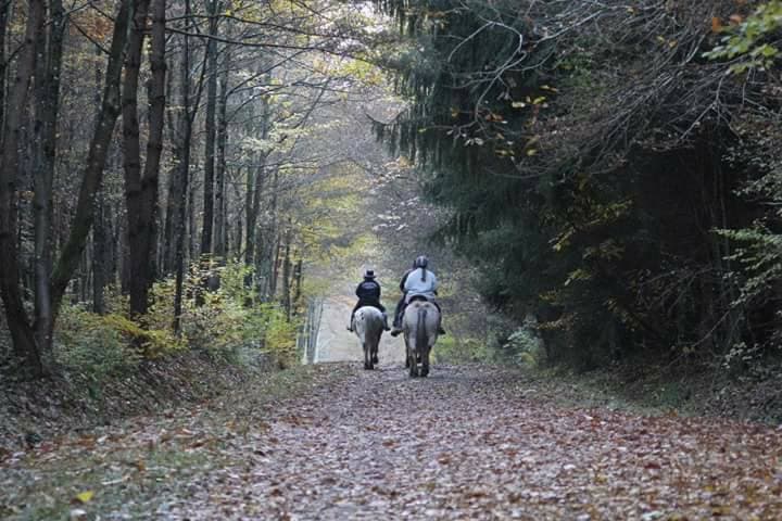 Balade à cheval