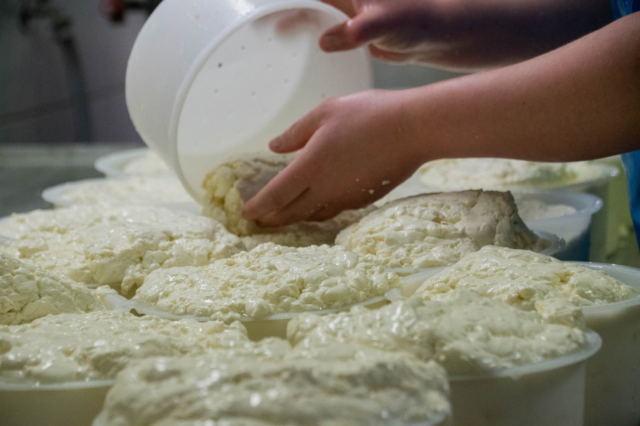 tomme moulage