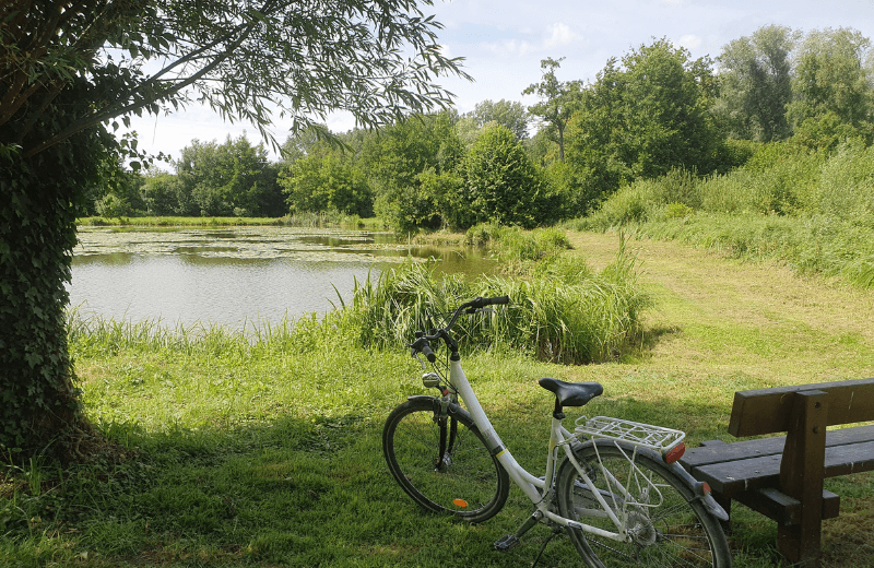 Vélo marais