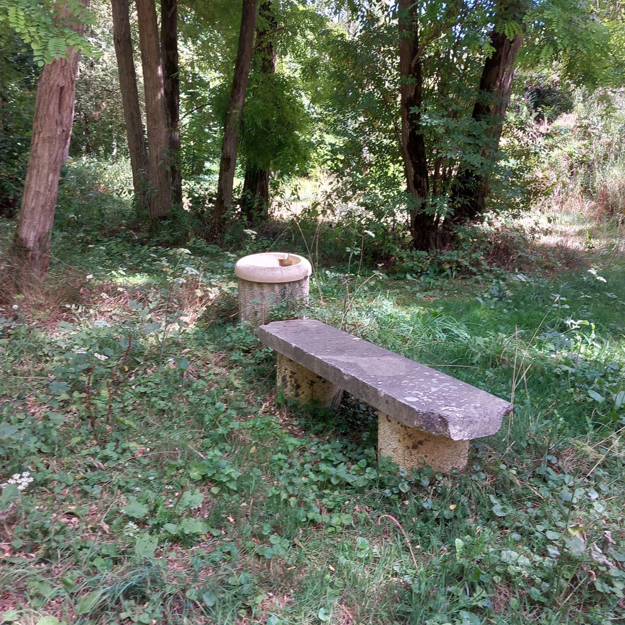 20260806_152312