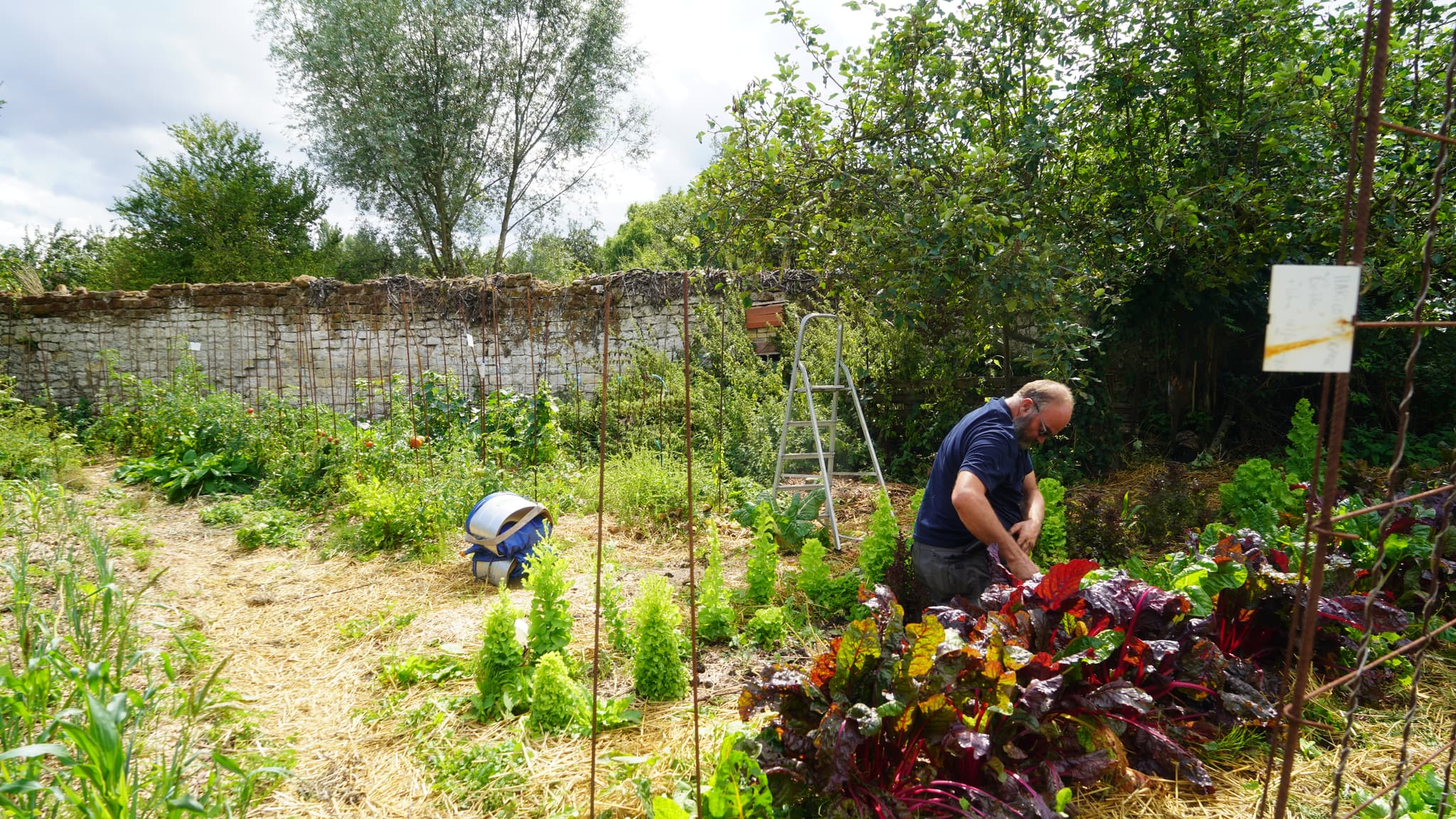 Visite d'une ferme écolieu en permaculture à Villers-Saint-Paul