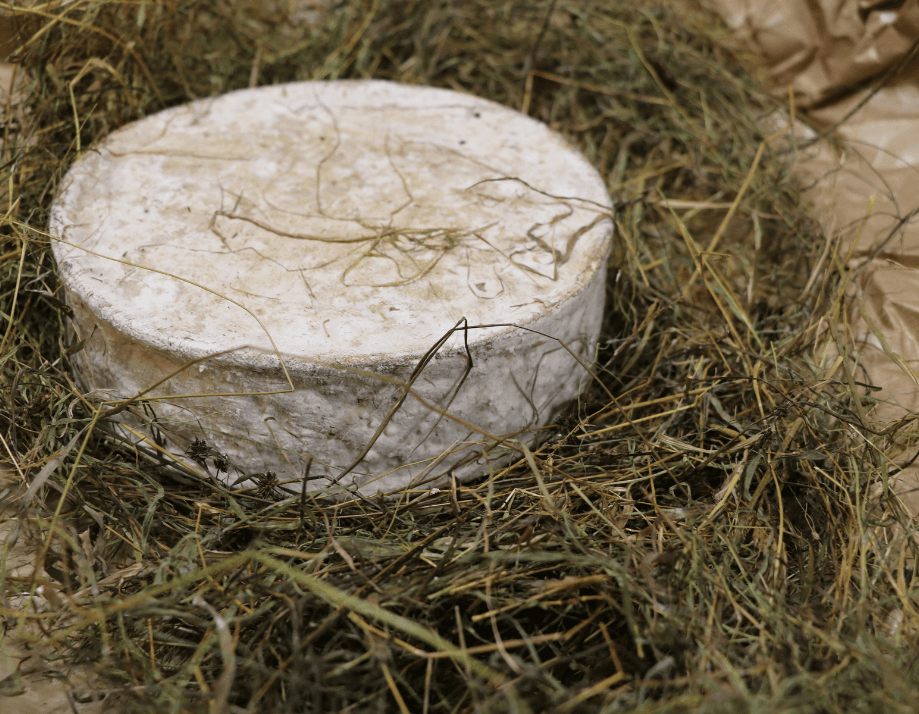 Fromagerie_Beaudoin_JM