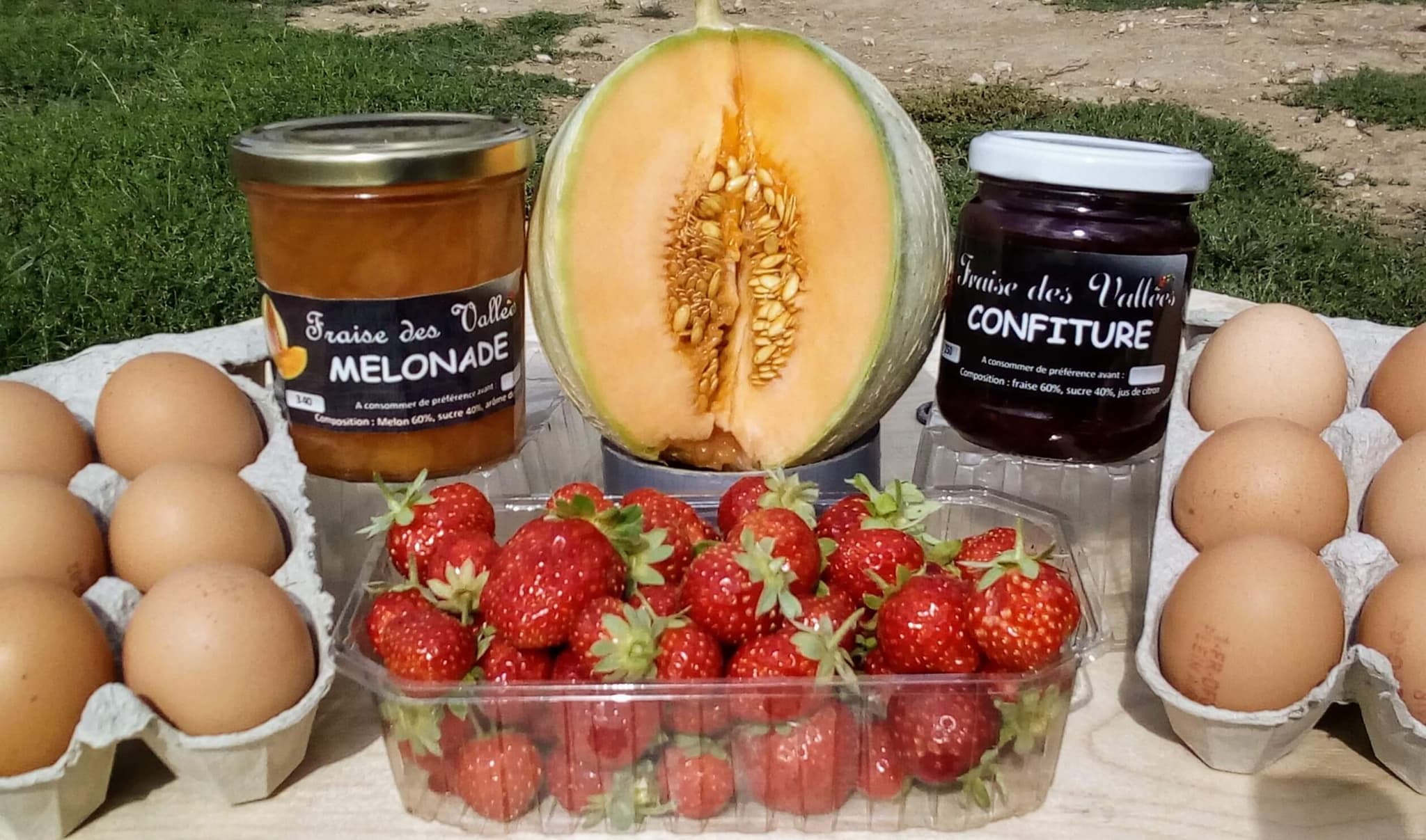 Fraise-des-vallees-3