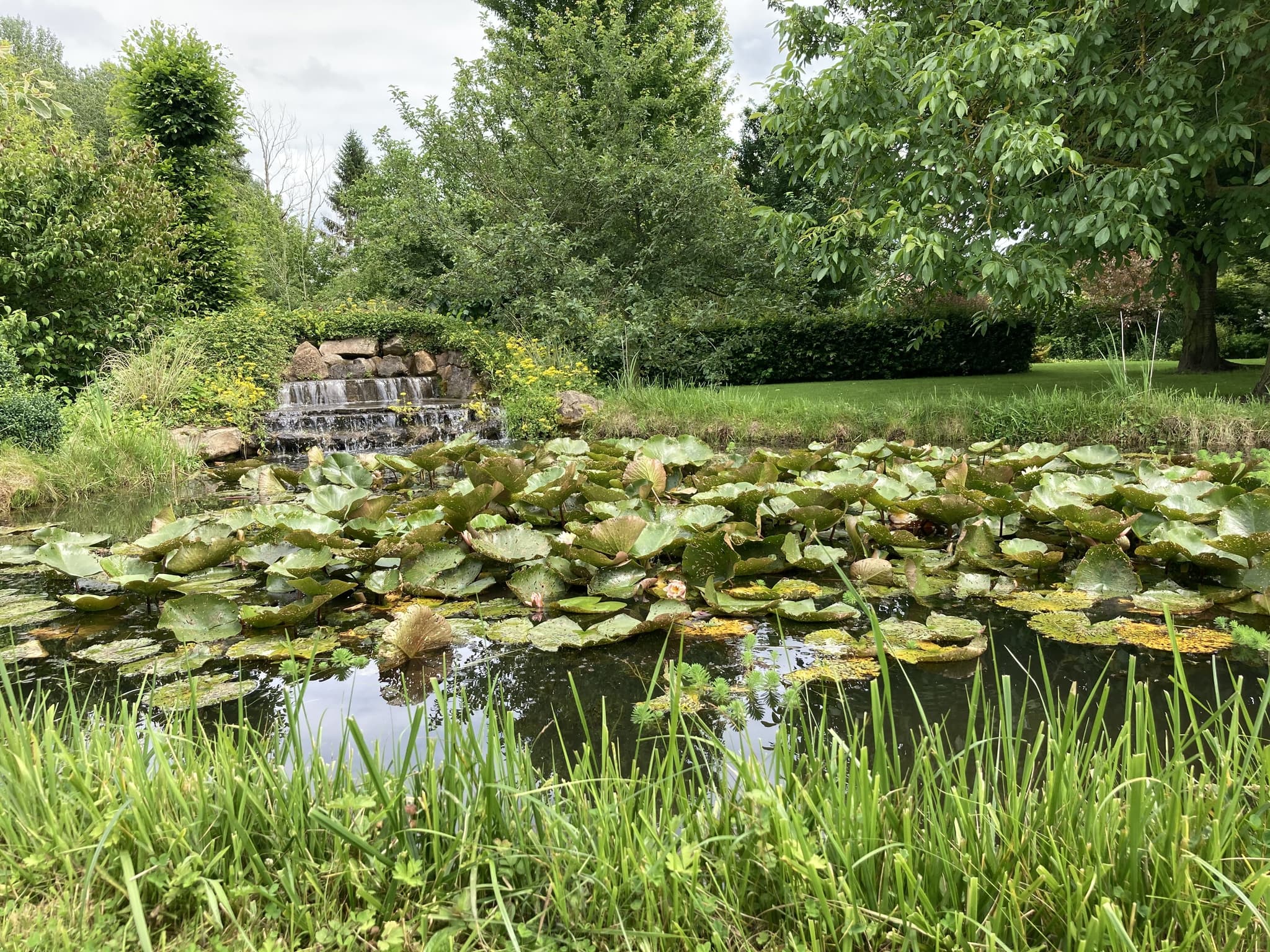 Jardin du Brule
