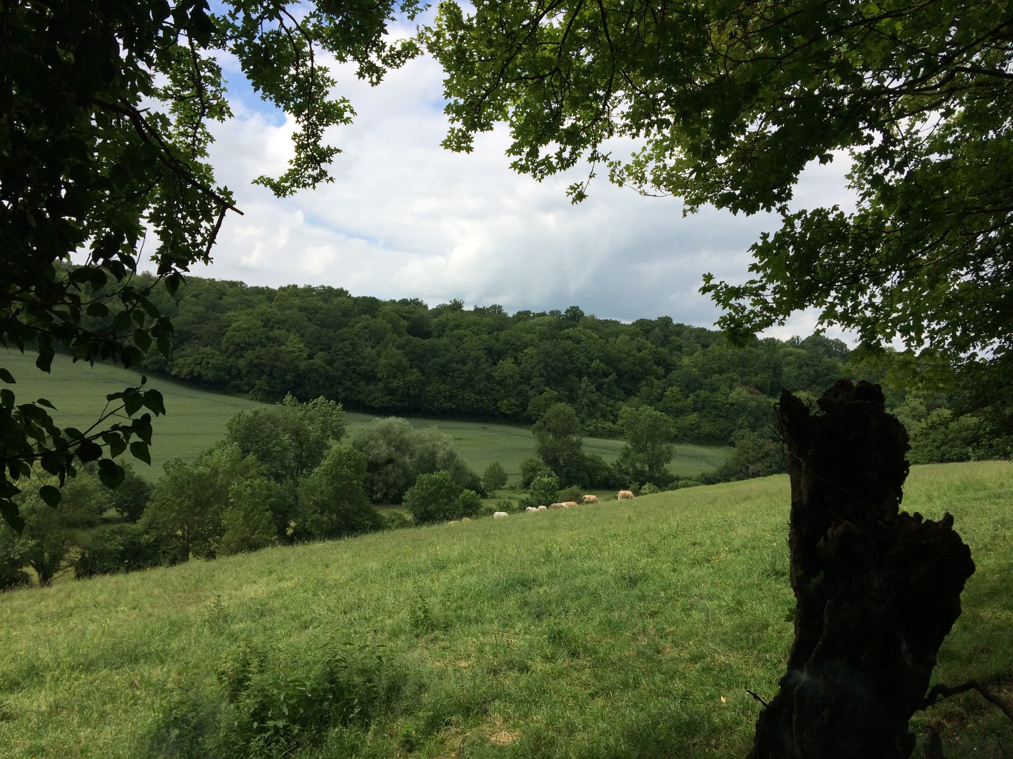 Paysage Picardie Verte