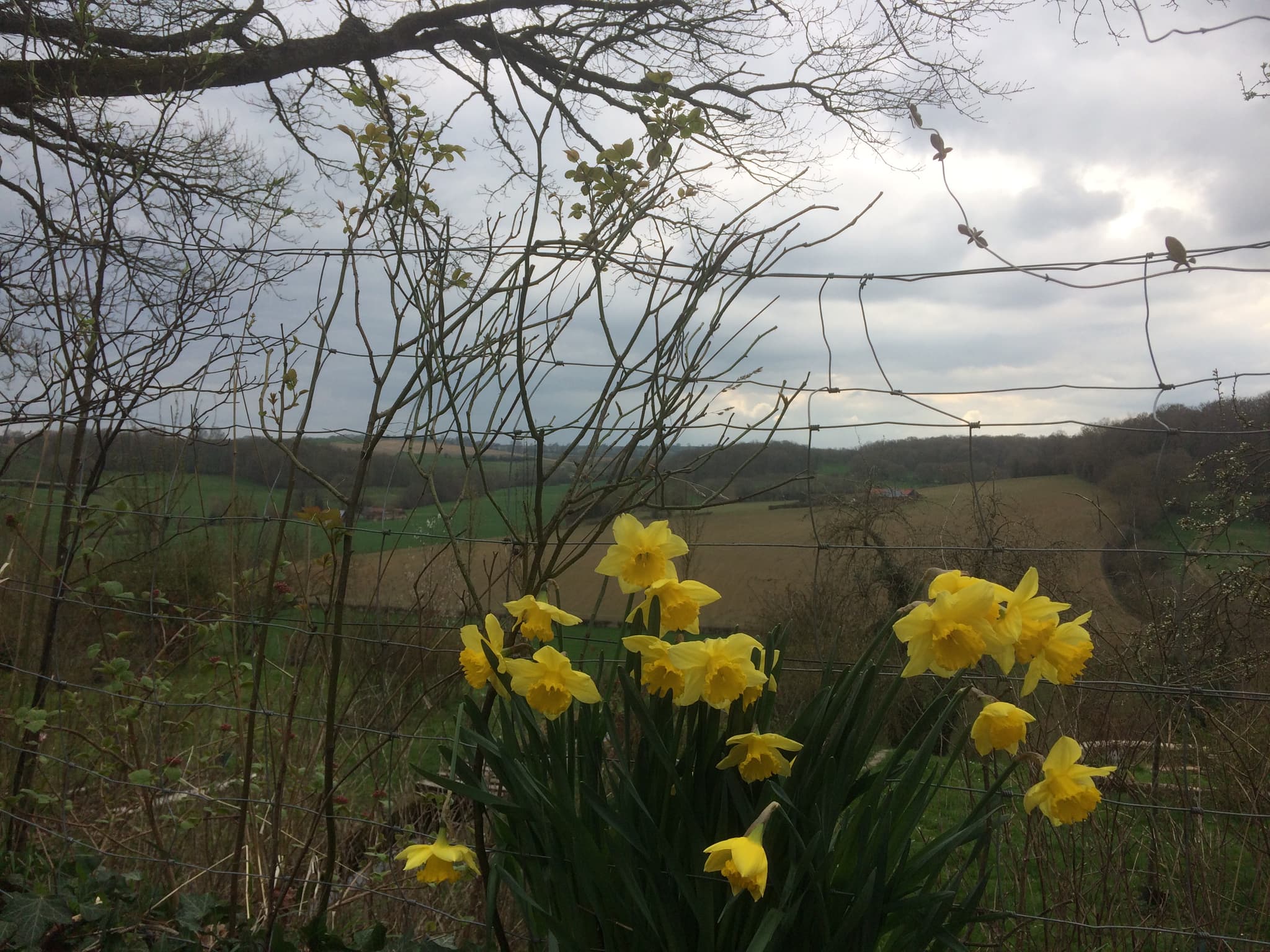 Paysage Picardie Verte
