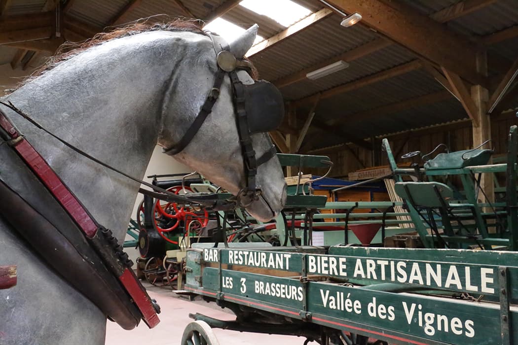 Musee-cheval2-2