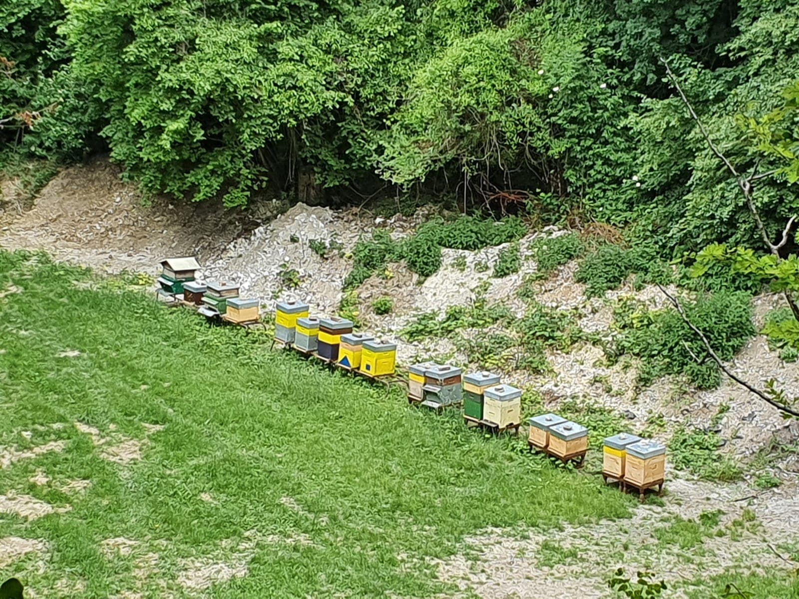 Photo rucher marnière