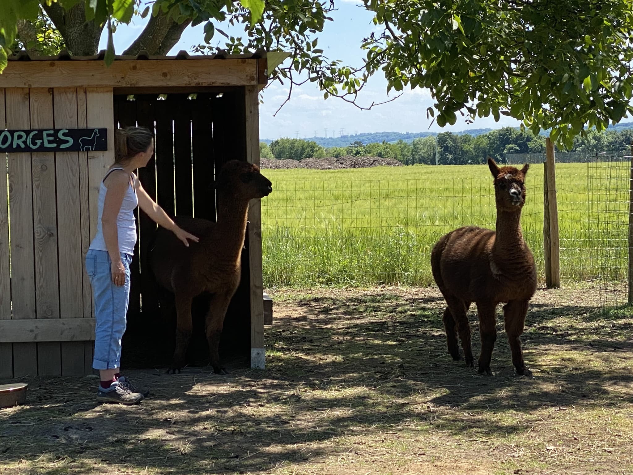 Ponchon La Ferme du Larris