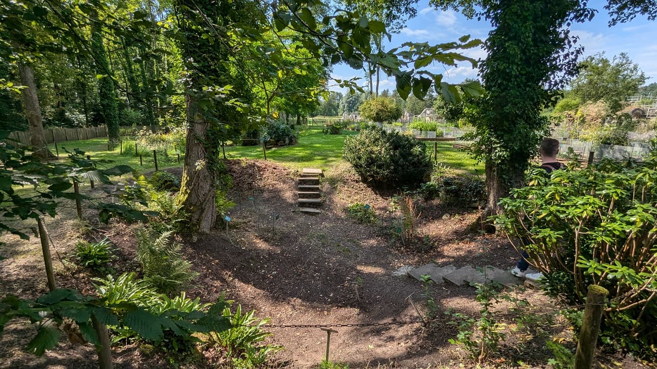 Jardin plantes médicinales 2024 < Vauclair< Aisne < Picardie