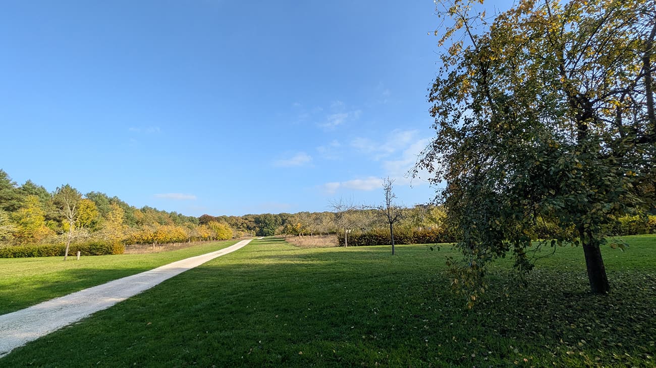 Sortie nature verger < Bouconville-Vauclair < Aisne < Picardie