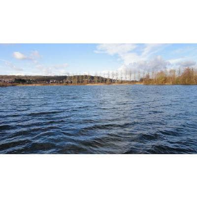 etang©jurassik kipe