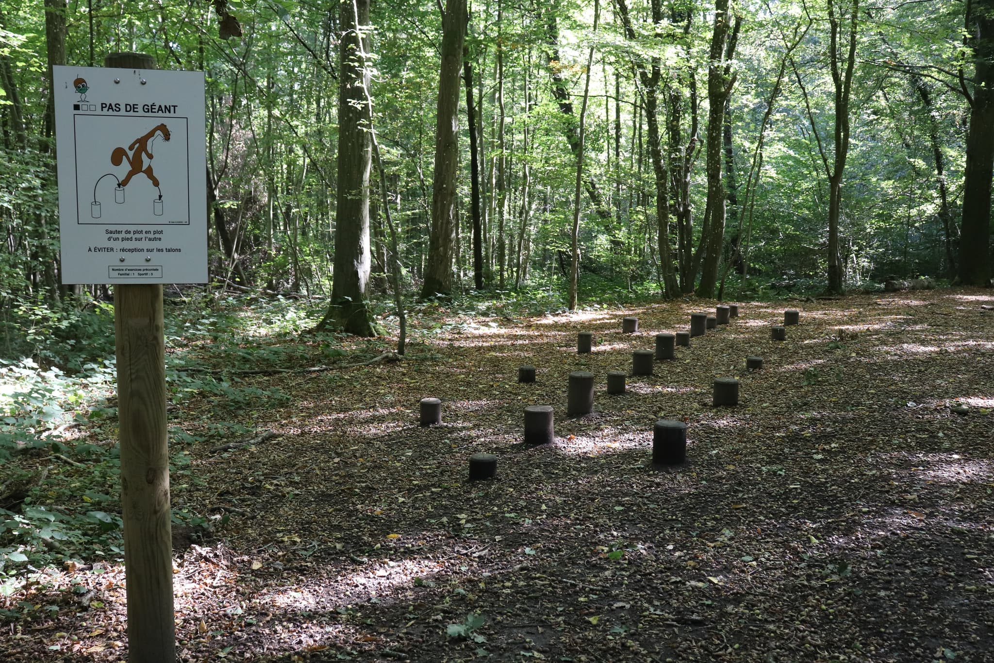 parcours santé bois magneux