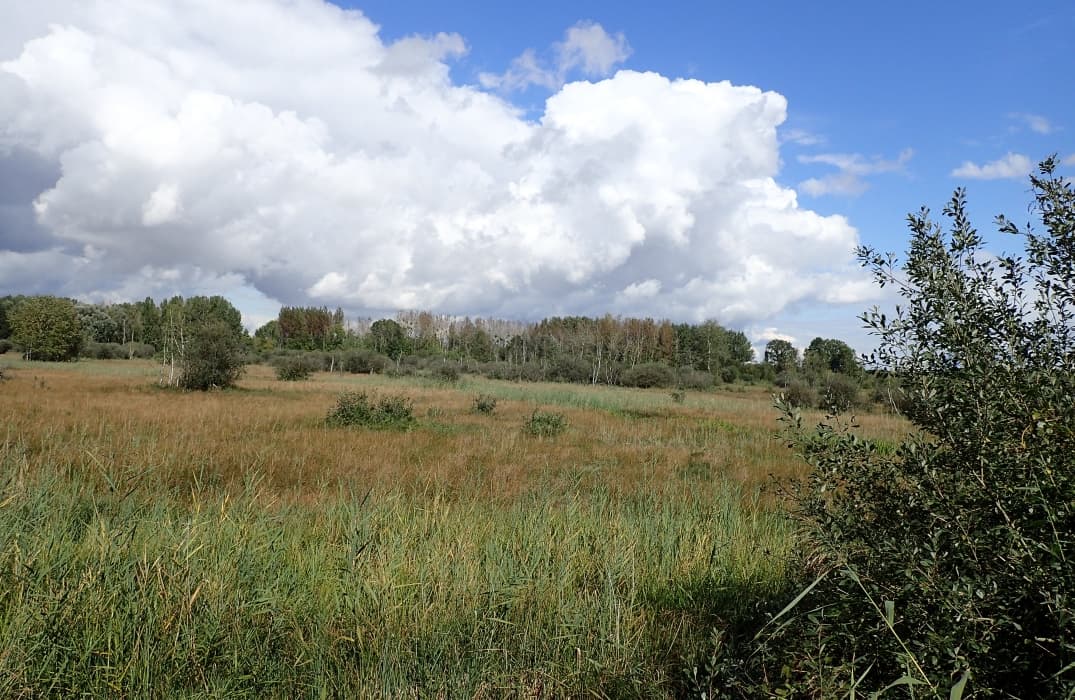 Le Marais de Sacy