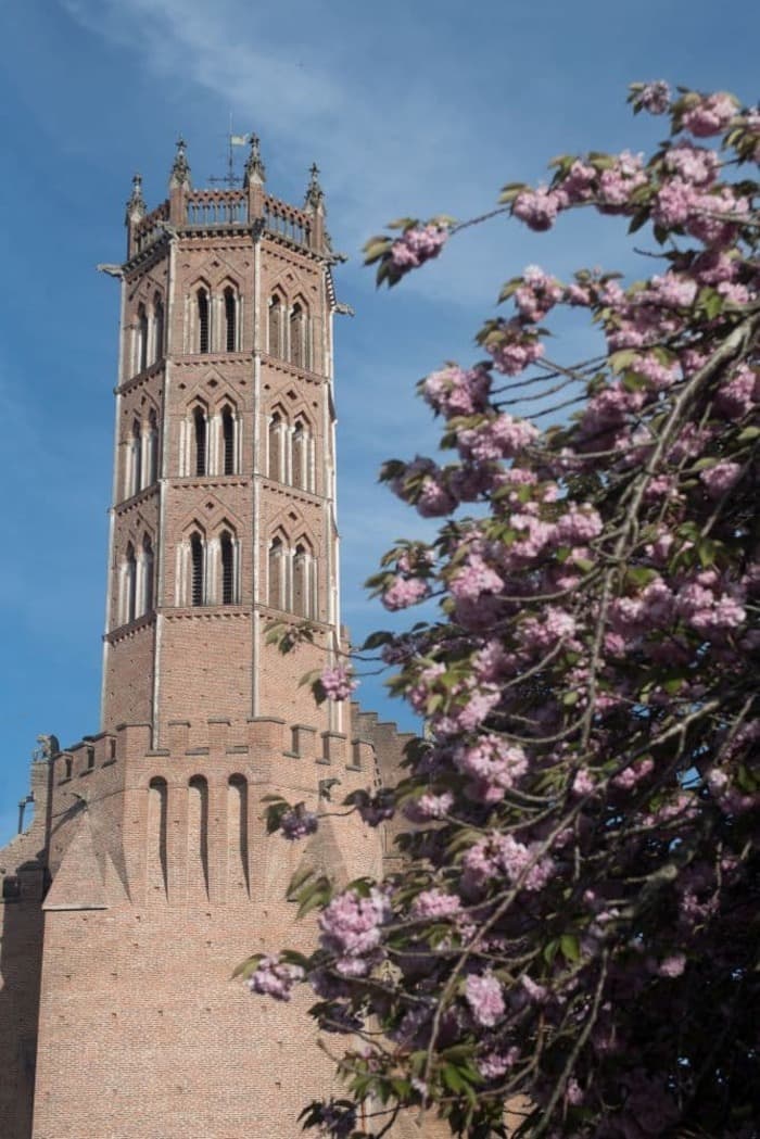 Visite libre de la cathédrale de Pamiers