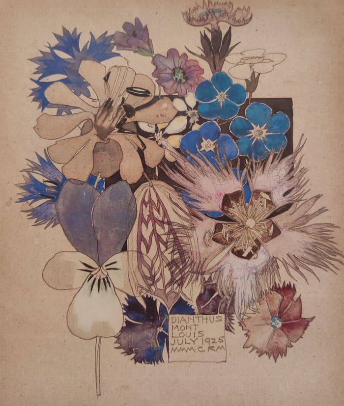 Visite libre du centre Mackintosh