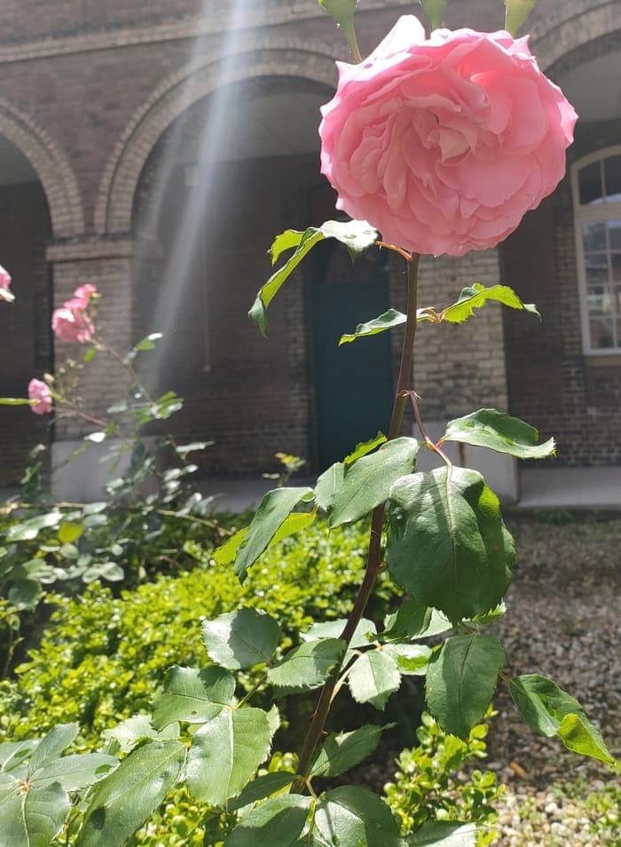Visite guidée du lycée
