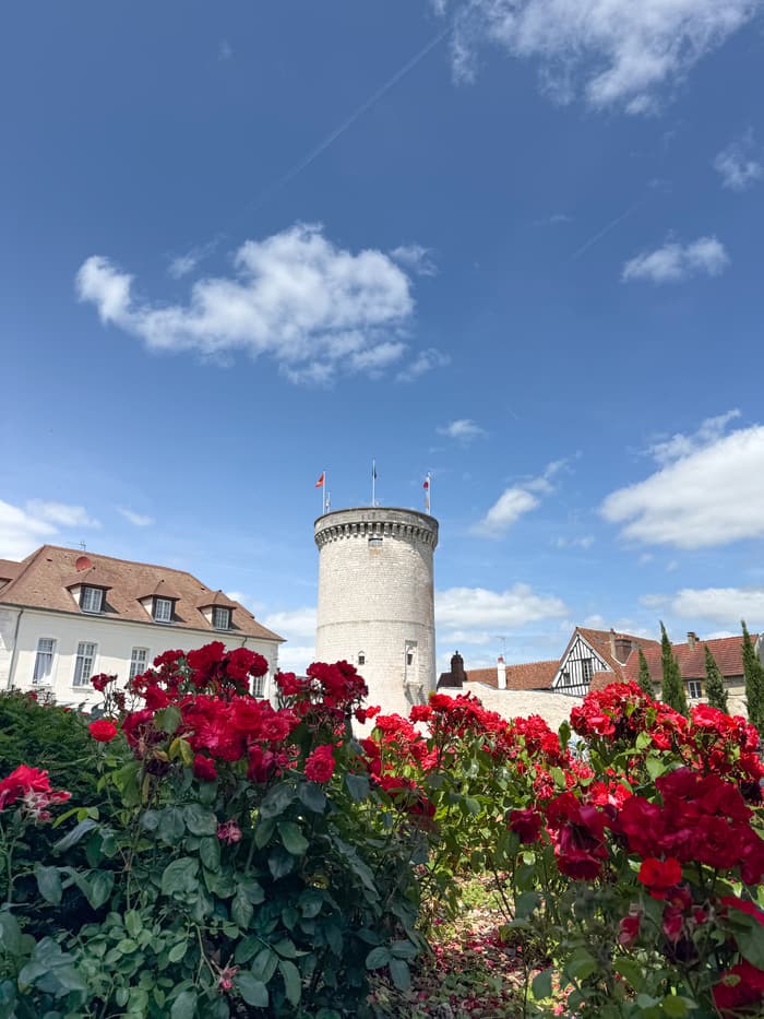 Visite libre de la tour