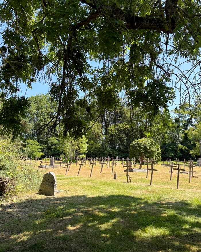 Visite du cimetière historique de l'établissement de psychiatrie - Mayenne
