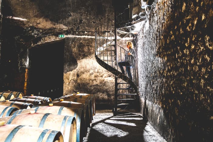 Visite guidée des caves