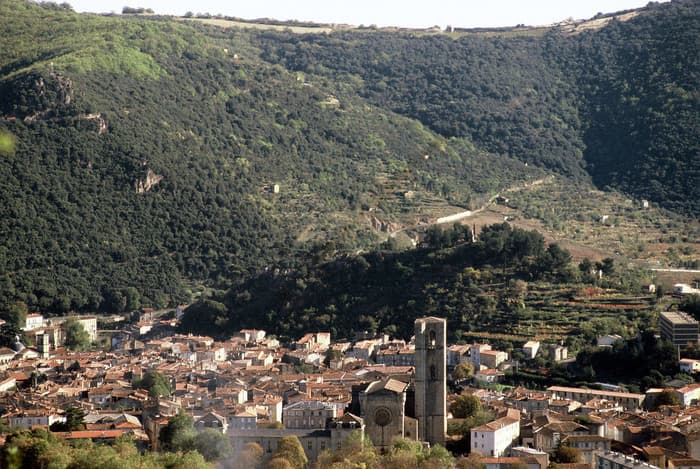 Les vestiges du Castellas de Montbrun