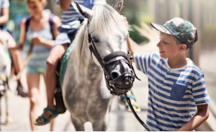 Animation jeune public : à la découverte du patrimoine à dos de poney