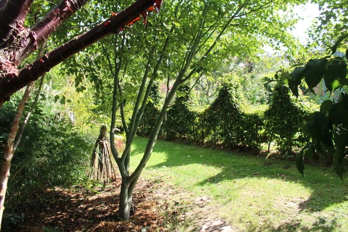 visite du jardin