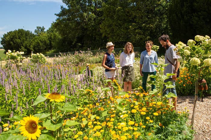 Visite guidée des jardins, un patrimoine environnemental en péril
