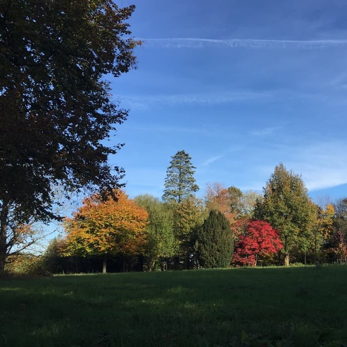 Visite libre du parc du chateau de Pouvrai