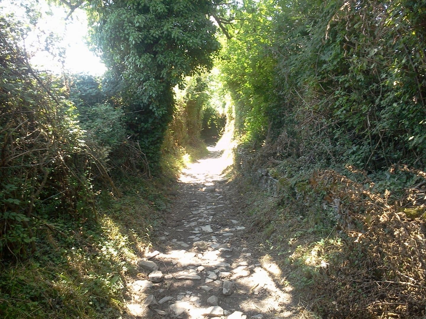 Ostabat---chemin-creux-2