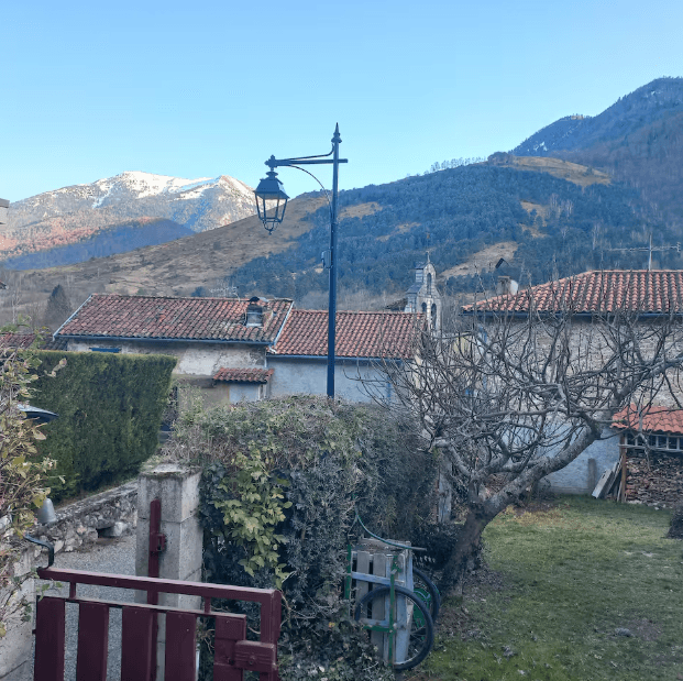 Un Figuier sous la Cagire