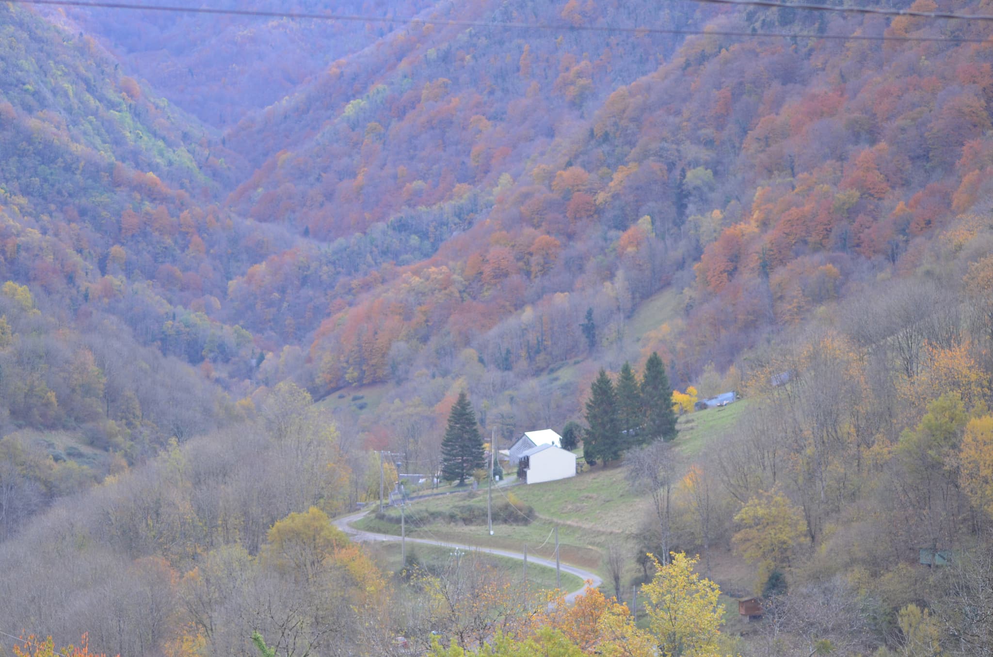Gîte du cerf SENGOUAGNET