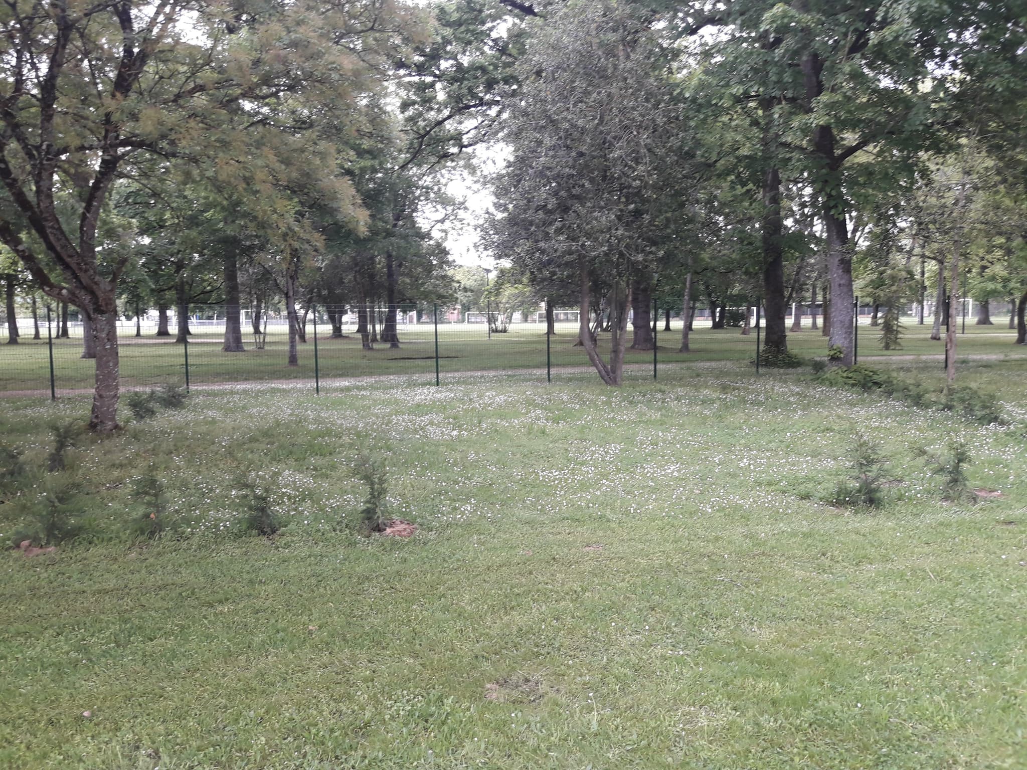 Camping Bernadou emplacement VILLEMUR SUR TARN